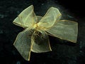 Free Gauzy Bow Stock Photography - 1067572