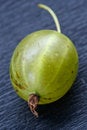 Free Juicy Gooseberry Stock Image - 1069721