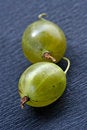 Free Juicy Gooseberry Stock Photography - 1069752