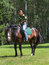 Free Girl On Horse Royalty Free Stock Photo - 1060665
