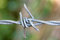 Free Barbed Wire Royalty Free Stock Photos - 10603858