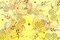Free Autumn Colored Stylish Background Royalty Free Stock Photos - 10623828