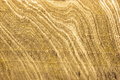 Free Salt Wall Royalty Free Stock Photos - 1070208