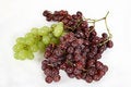Free Grape Stock Image - 1072331