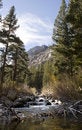 Free High Sierra Creek Stock Images - 1076174