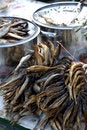 Free Fish 11 Royalty Free Stock Image - 1076556