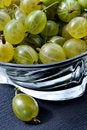 Free Juicy Gooseberry Royalty Free Stock Photography - 1077467