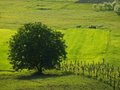 Free Eternity Stock Photography - 1078092
