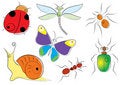 Free Vector Insects Royalty Free Stock Image - 10774106