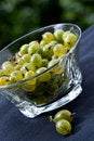 Free Juicy Gooseberry Stock Photography - 1082462