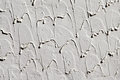 Free Liquid Paint Royalty Free Stock Photo - 1082675