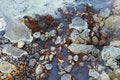 Free Geothermal Water Royalty Free Stock Photos - 1087128