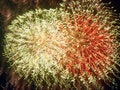 Free Fireworks Stock Photos - 1088183