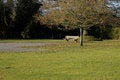 Free Lonely November Bench Royalty Free Stock Image - 1088446