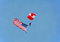 Free Canadian Parachutist Carrying US Flag Royalty Free Stock Photo - 1080955