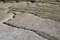 Free Arid Landscape II Stock Photography - 1082712