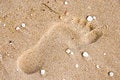 Free Footprint On Sand With Shells Royalty Free Stock Photography - 10870807