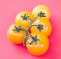 Free Tomatoes On Red Stock Images - 1090614