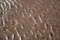 Free Wet Sand Royalty Free Stock Photo - 1091485