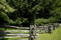 Free Split Rail Fence And Pines Stock Photography - 1094042