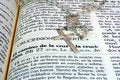 Free The Bible Stock Photo - 1094180