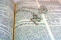 Free The Holly Bible Stock Photos - 1094183