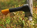 Free Small Tourist Hatchet Cuts Birch Tree Stock Photography - 1096662