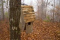 Free Bird Feeder Royalty Free Stock Photography - 1097447
