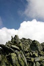Free Two Elements Royalty Free Stock Photo - 1098305