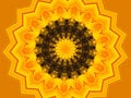Free Vivid Yellow Kaleidescope Stock Images - 1098644
