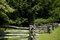 Free Split Rail Fence And Pines Stock Photography - 1094042