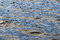 Free Blue Ripples Stock Images - 1097254