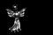 Free Praying Angel Stock Image - 1098431