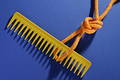 Free Comb And Knot - Diagonal Royalty Free Stock Photo - 110395