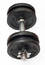Free Dumbbell Royalty Free Stock Photo - 114885