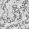 Free Grey Marble Stock Image - 11033461