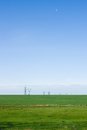 Free Green Field And Blue Sky Royalty Free Stock Photo - 11074695