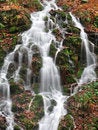 Free Little Waterfall Stock Photos - 11083263