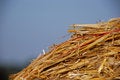 Free Straw And Sky Royalty Free Stock Images - 1113379