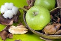 Free Still Life In Green Royalty Free Stock Photography - 1114327
