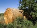 Free Role Of Straw Stock Images - 1116944