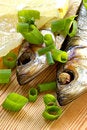 Free Smoked Sprat-appetizing Snack Royalty Free Stock Images - 1122869
