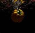 Free Fruit In A Hurry Fall Royalty Free Stock Images - 1128219