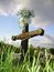 Free Old Grave Stock Photography - 1123462