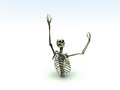 Free Bone 28 Stock Photo - 1134670