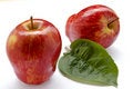 Free Rich Apple Crop Royalty Free Stock Images - 1136779