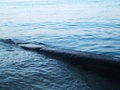 Free Serenity Stock Photography - 1136862