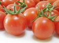 Free Fresh Tomatoes Stock Images - 1139744
