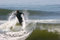 Free Cresting The Wave Royalty Free Stock Image - 1138546