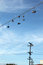 Free Hanging Shoes Royalty Free Stock Image - 11338606